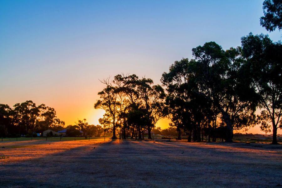 Inn The Tuarts Guest Lodge Busselton Accommodation - Adults Only Exterior foto